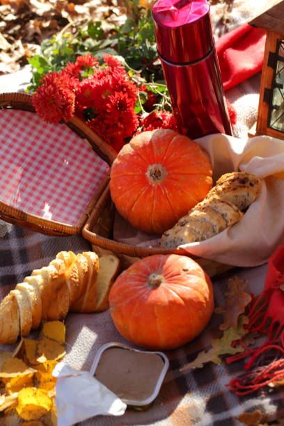 istock Picnic in autumn park with pumpkins 1186842234