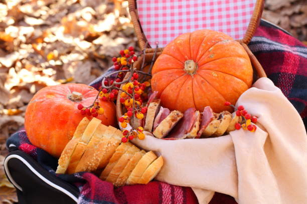 istock Picnic in autumn park with pumpkins 1186842292