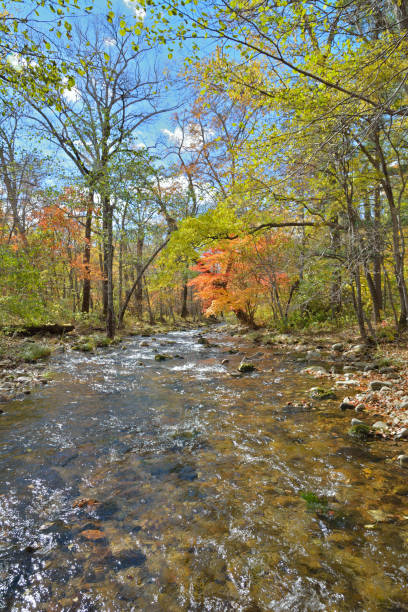 istock Autumn woodsy river 22 1186843022