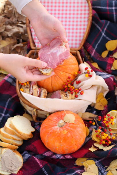 istock Children's hands hold a sandwich 1186843115