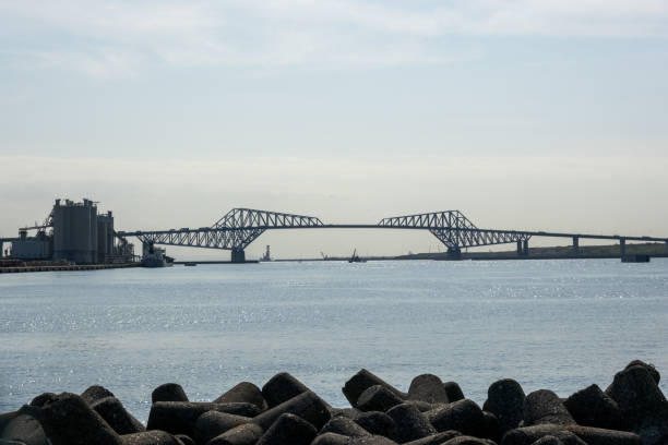 istock Wakasu in the Japan, Tokyo 1186843377