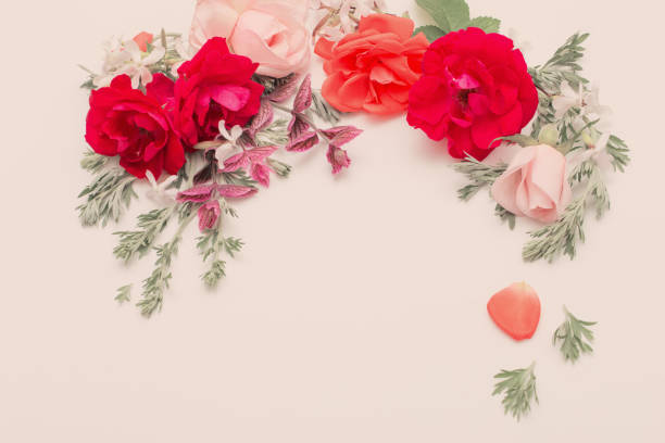 istock rose flowers and leaves on white background 1186844660
