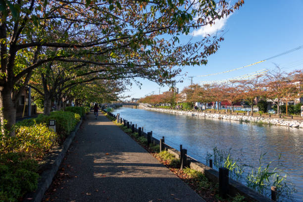 istock Shinkawa River autumn colours(Edogawa, Japan) 1186847528