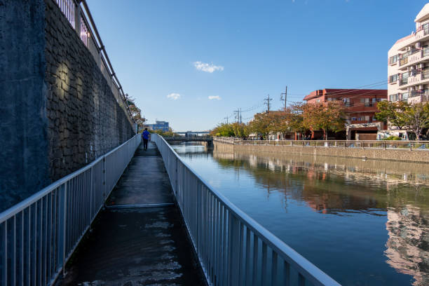 istock Shinkawa River autumn colours(Edogawa, Japan) 1186847529