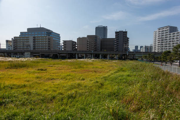 istock Empty lot in Japan Tokyo 1186849350