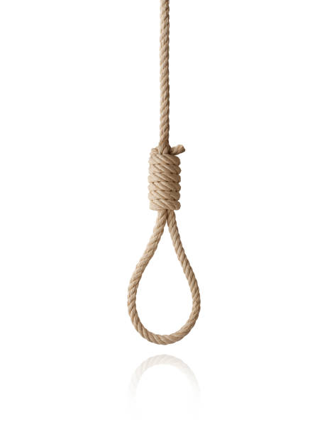 Noose Noose on white background. hangman stock pictures, royalty-free photos & images