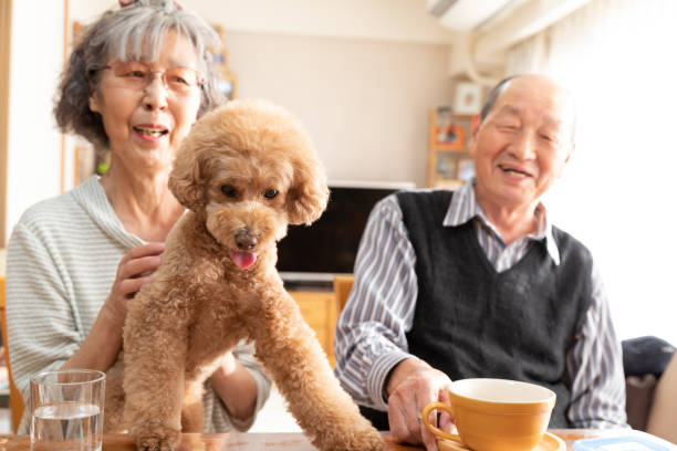 istock Happy dog smiling with family 1186853155