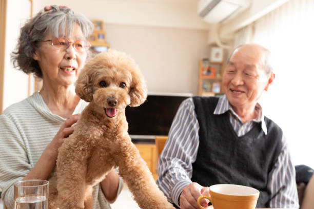 istock Happy dog smiling with family 1186854044
