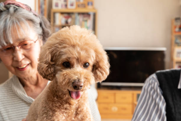 istock Happy dog smiling with family 1186854134