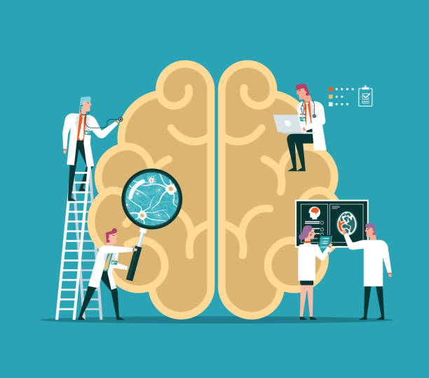 Human Brain - Psychology Team of doctors diagnose human brain neurosurgery stock illustrations