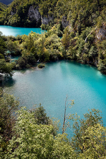 laghi di plitvice - plitvice lakes national park water lake national park foto e immagini stock