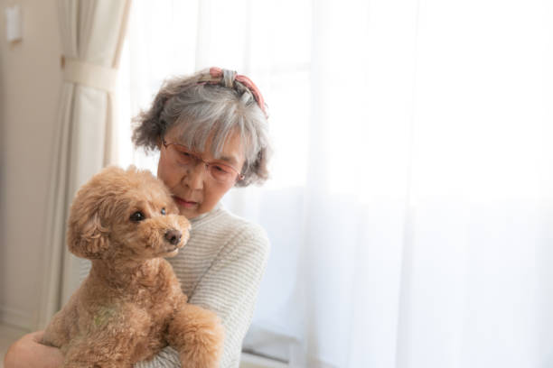 istock Toy poodle and mother 1186858260
