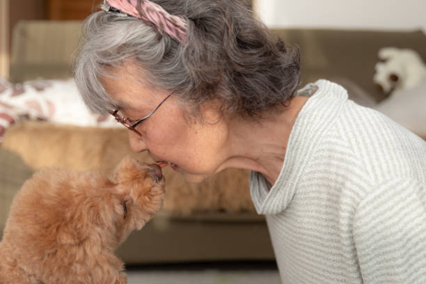 istock Toy poodle and mother 1186858443