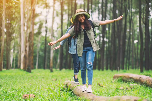 istock traveler walking on the log while hiking in the forest 1186858714