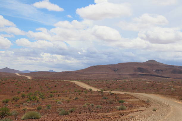 istock Namibia self driver safari 1186863212