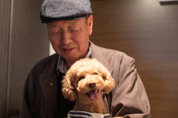 istock Toy poodle and father 1186863775