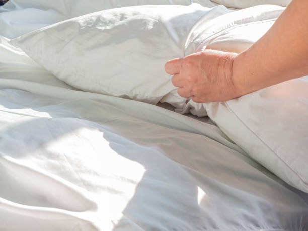 istock Using zippered dust mites pillow covers is the easiest and fastest way to protect your allergy. 1186865152