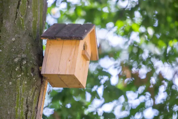 Yellow wooden bird house on a tree trunk in green park outdoors.