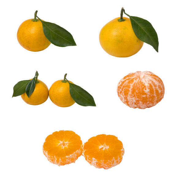 Set of fresh ripe tangerines isolated on white background. Close up view.