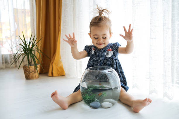 istock Cute child is feeding his goldfish 1186876148