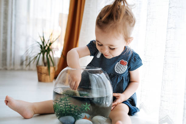 istock Cute child is feeding his goldfish 1186876213