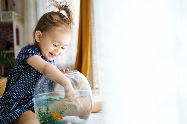 istock Cute child is feeding his goldfish 1186876402