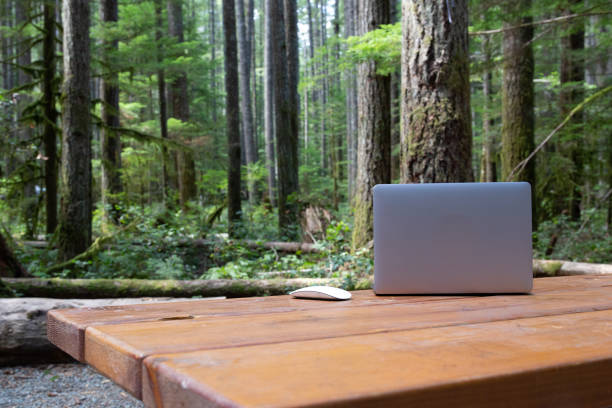 istock Nature meets technology for the workaholics; a laptop and a mouse on a picnic table in a campground in Vancouver Island, in the middle of super tall tress like pines or douglas firs. 1186876927
