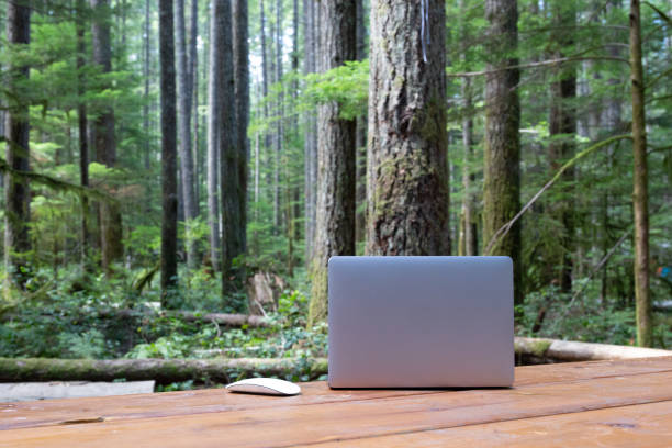 istock Nature meets technology for the workaholics; a laptop and a mouse on a picnic table in a campground in Vancouver Island, in the middle of super tall tress like pines or douglas firs. 1186876964