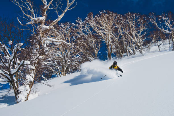extremprofi zerkleinert den tiefen pulverschnee in den sonnigen japanischen bergen - carving skiing stock-fotos und bilder