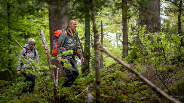 istock Couple hiking in forest 1186881011