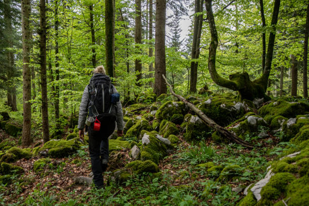 istock Woman hiking in forest 1186881015