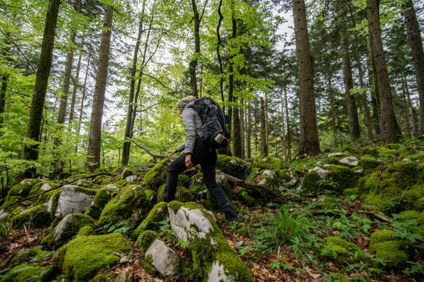 istock Woman hiking in forest 1186881032