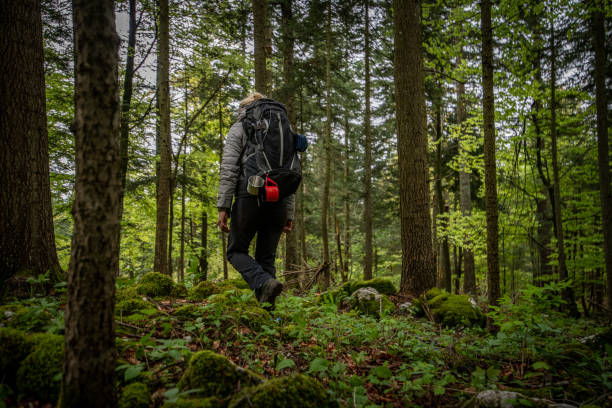 istock Woman hiking in forest 1186881050