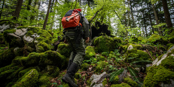istock Man hiking in forest 1186881055