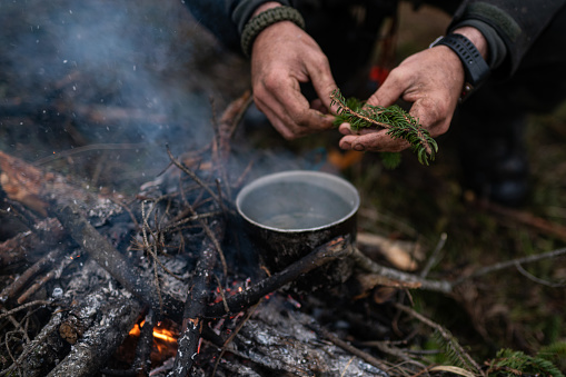 Close-up of hiker making tea with leaves on campfire in forest.