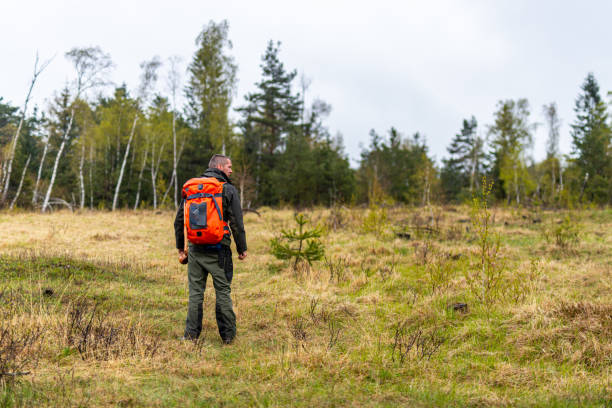 istock Man hiking in forest 1186881133