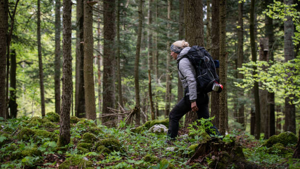 istock Woman hiking in forest 1186881163