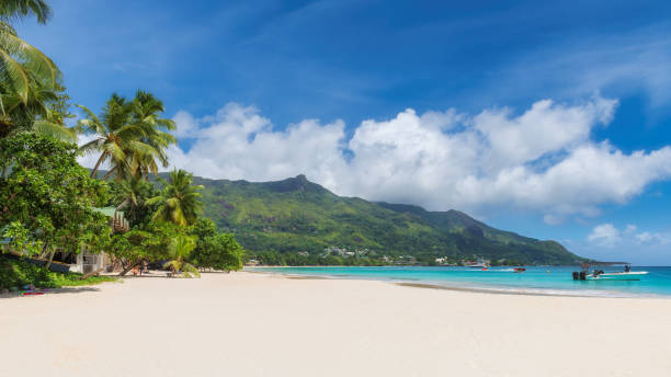 istock White sand beach on paradise island 1186881740