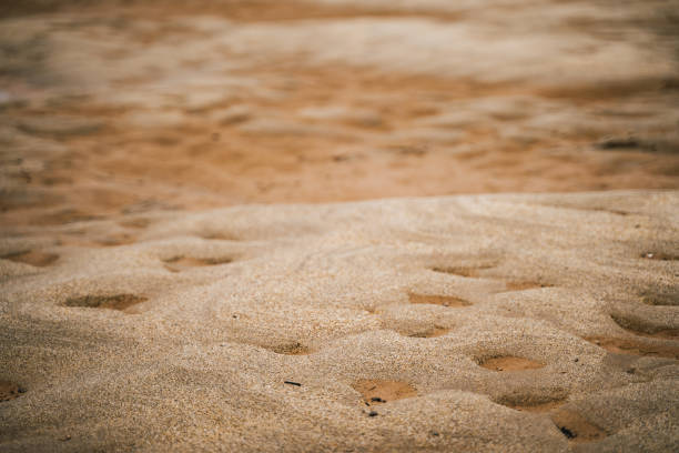 sand textur. flusssand. hintergrund, tapete, design-element hintergrund - sand river stock-fotos und bilder