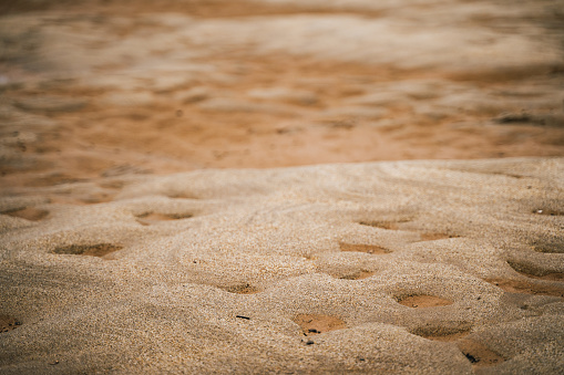Sand Texture. River sand. Background, wallpaper, design element background