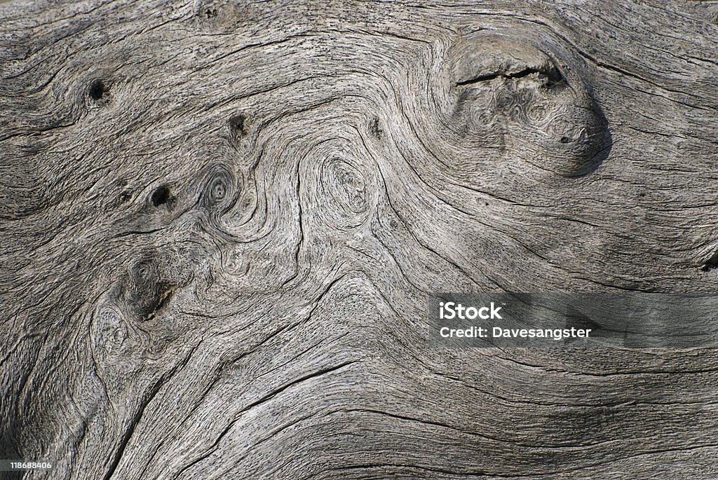 Driftwood - Foto de stock de Madera a la deriva libre de derechos