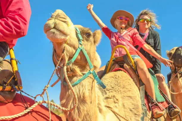 Photo of Couple camel ride