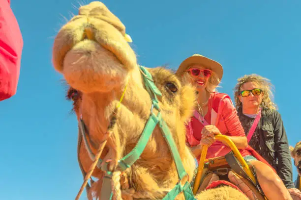 Photo of Couple camel riding
