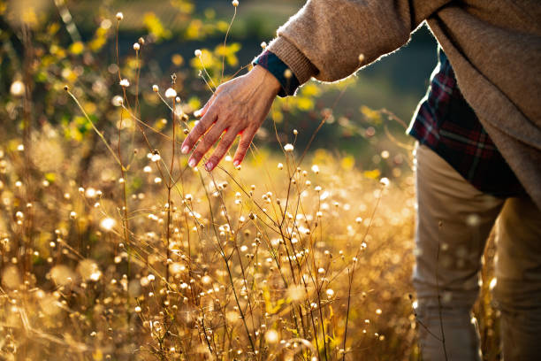 istock Unrecognizable mature woman walking through tall grass in nature. 1186884294