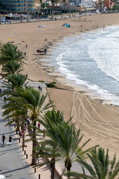 istock The beach of Palma 1186885326