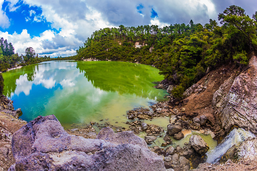 Lake with colorful opaque water. The magic country is Wai - O - Tapu. New Zealand, North Island. The concept of active and phototourism