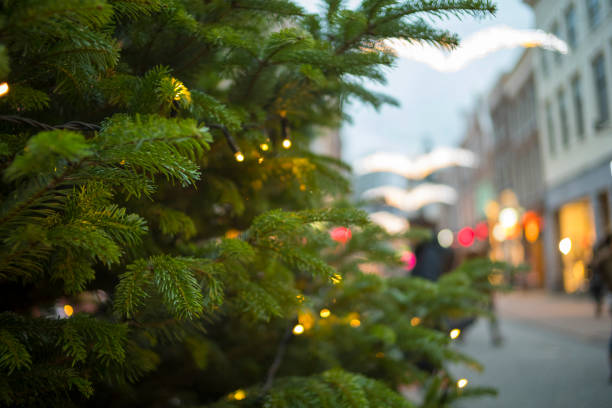 istock Christmas tree with decorations in a shopping street during a december evening 1186890448