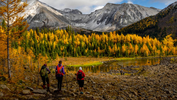 istock Hikers explore mountains in autumn 1186891556