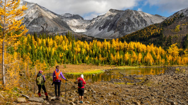 istock Hikers explore mountains in autumn 1186891628