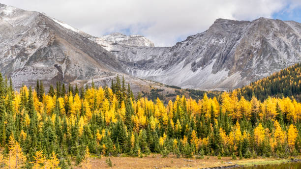 istock Scenic view of mountain range over forest 1186891638